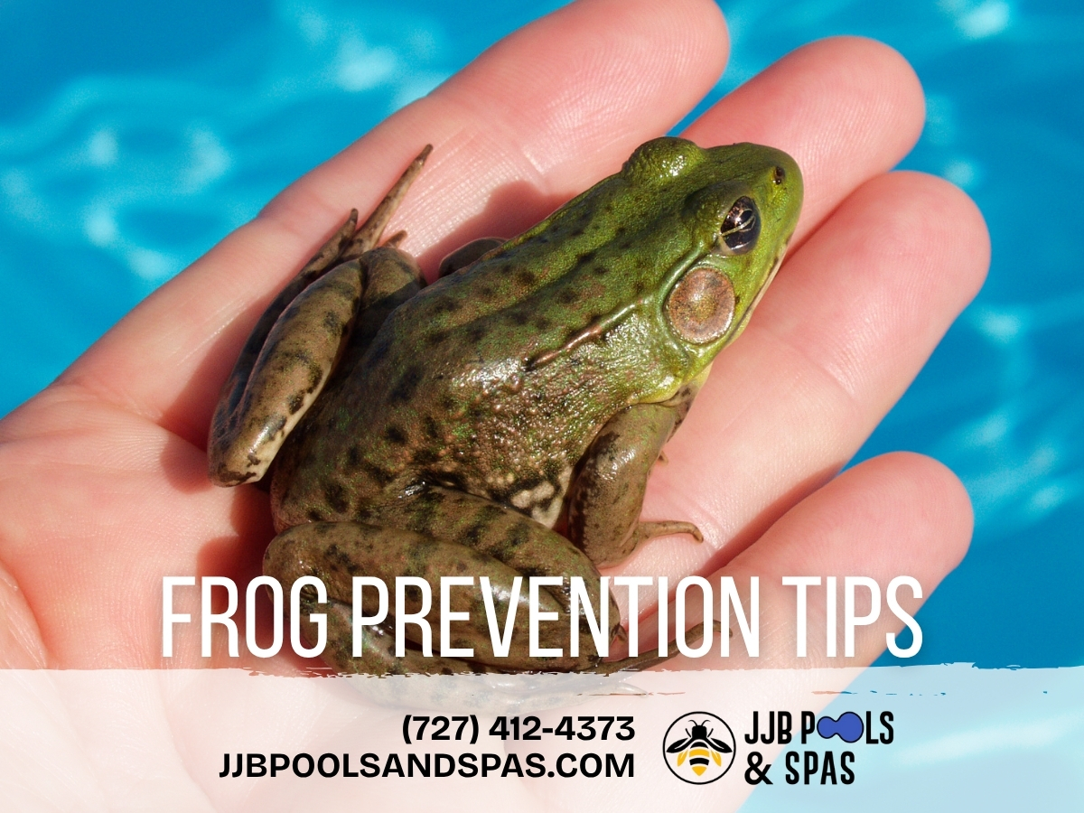 11 Tips To Keep Frogs Out Of Your Swimming Pool