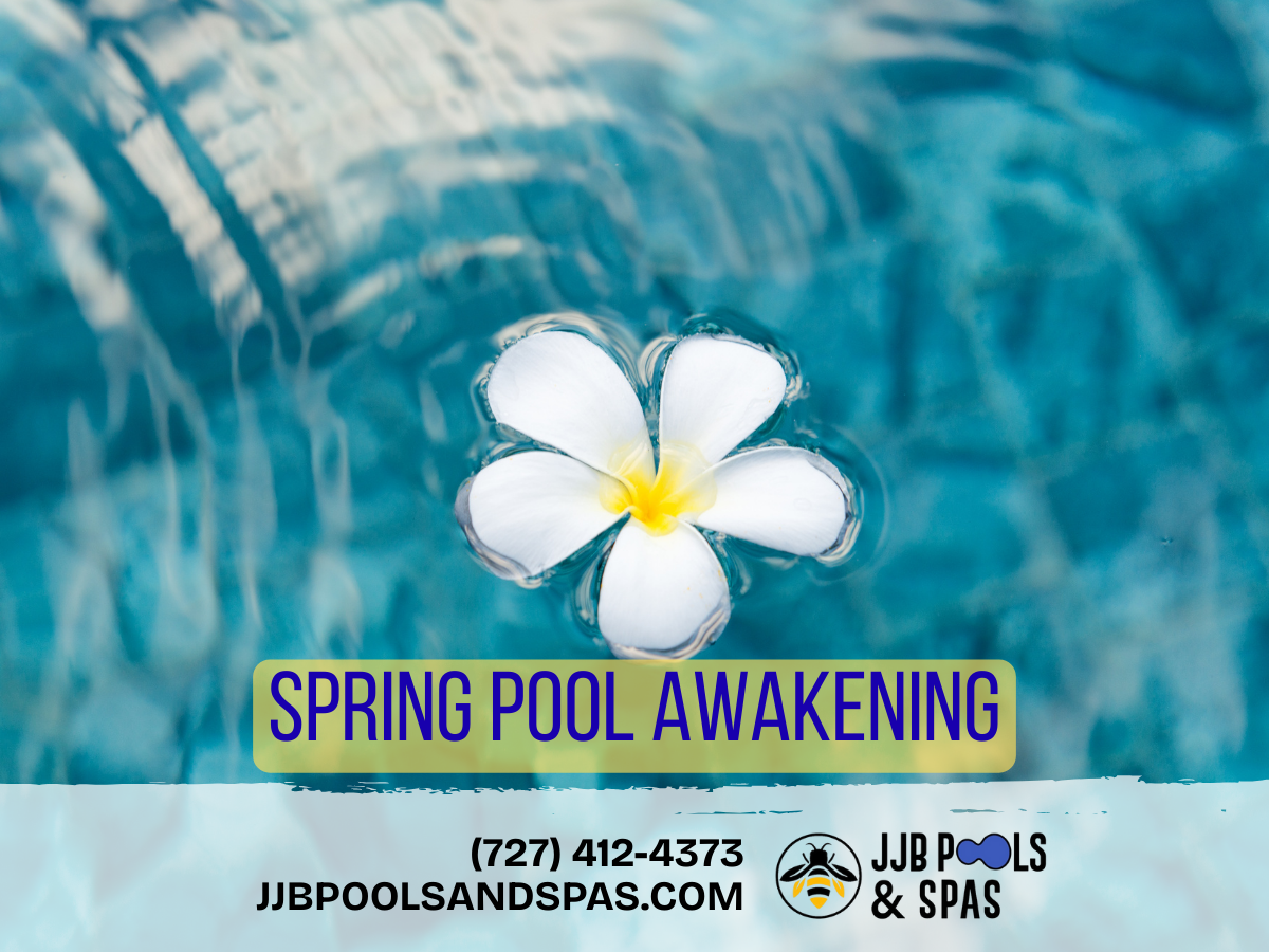 Dive Into Spring: A Pool Company’s Guide To Awakening Your Tampa Pool