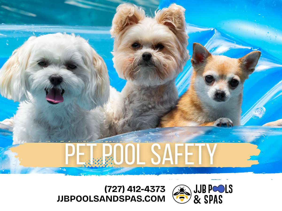 Designing A Pet-Friendly Backyard Oasis In Tampa Bay