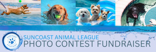 Suncoast Animal League Photo Contest Fundraiser