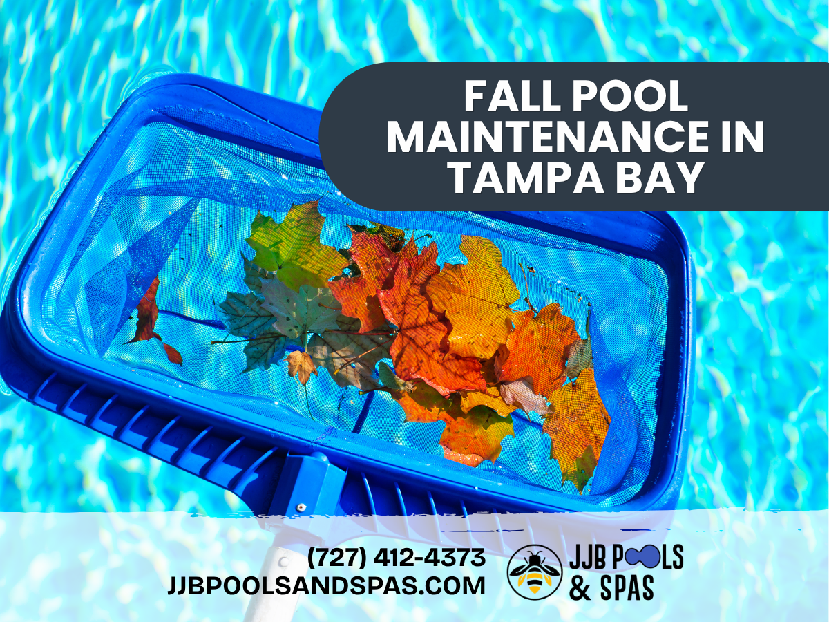 Fall Pool Maintenance in Tampa Bay: Common Problems & Fixes